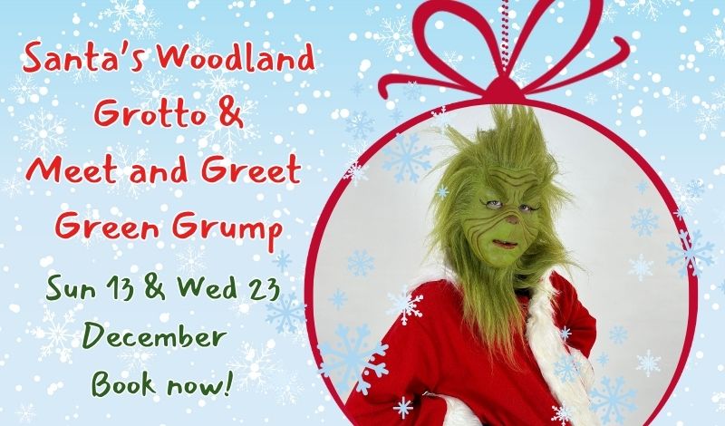 Meet and Greet Green Grump article image
